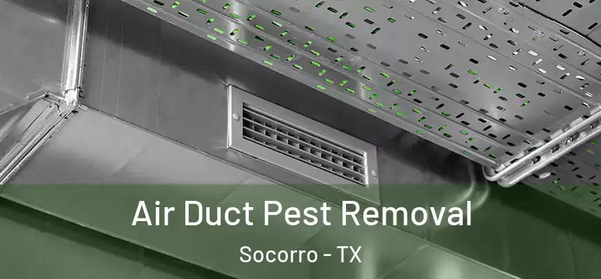 Air Duct Pest Removal Socorro - TX