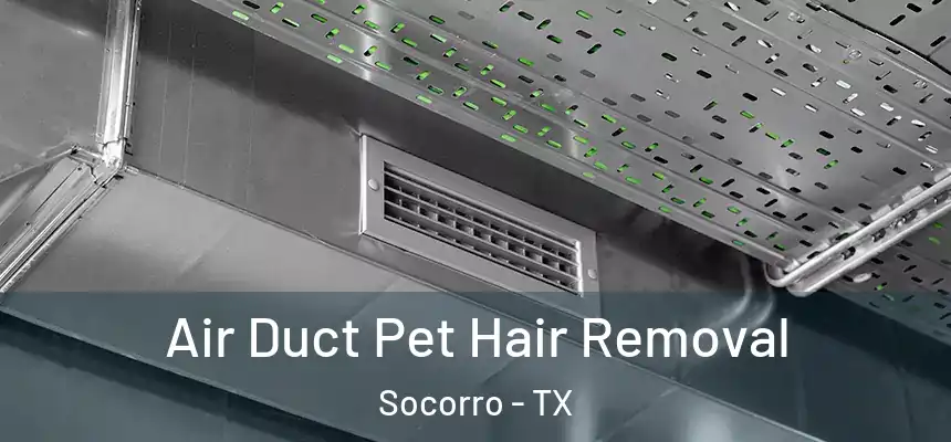  Air Duct Pet Hair Removal Socorro - TX