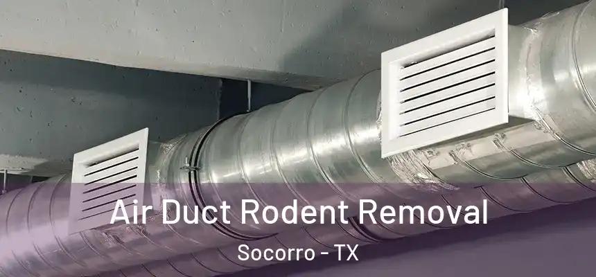  Air Duct Rodent Removal Socorro - TX