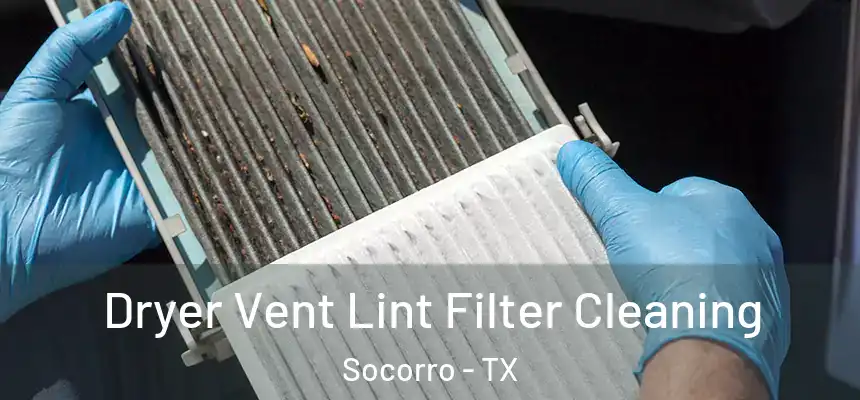  Dryer Vent Lint Filter Cleaning Socorro - TX