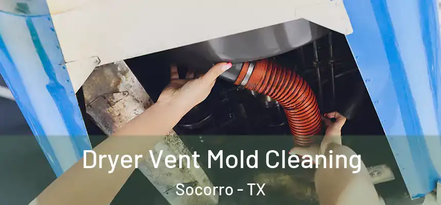  Dryer Vent Mold Cleaning Socorro - TX
