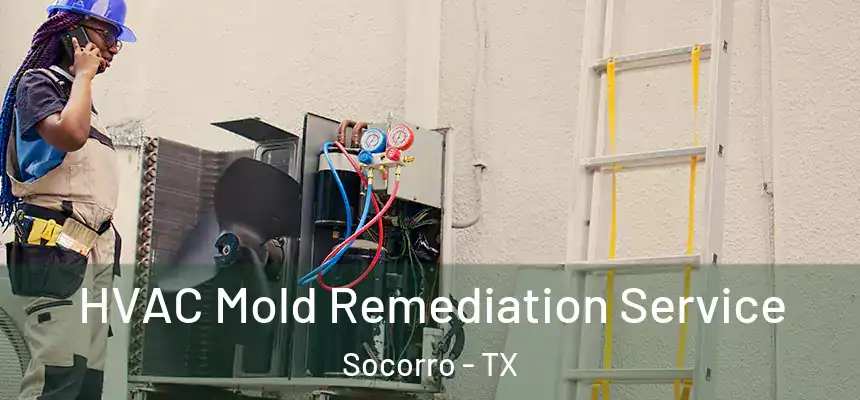 HVAC Mold Remediation Service Socorro - TX