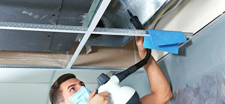 Our Air Duct Rodent Removal Services in Socorro, TX