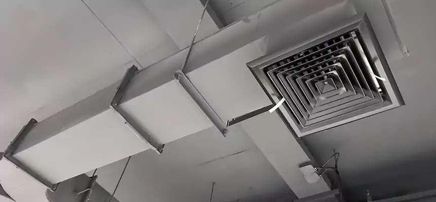 Restorative Allergy Relief Vent Cleaning – Coil, Blower & Housing Detail in Socorro