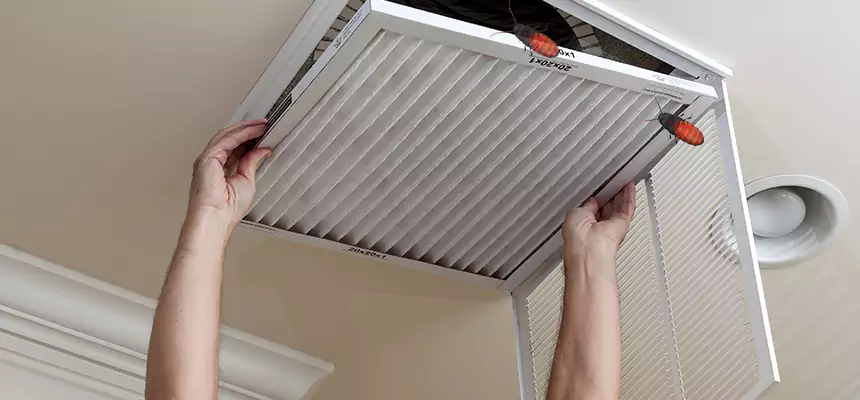 Our Insect Removal from Air Ducts Services in Socorro, TX
