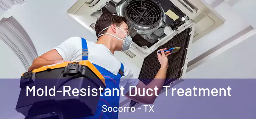  Mold-Resistant Duct Treatment Socorro - TX