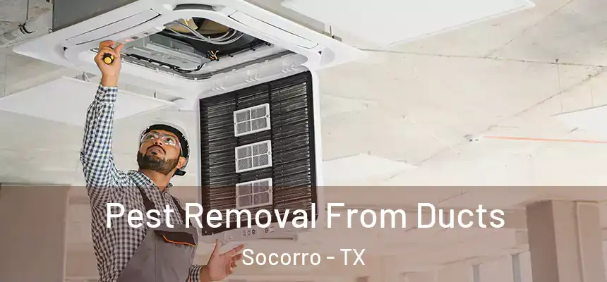  Pest Removal From Ducts Socorro - TX
