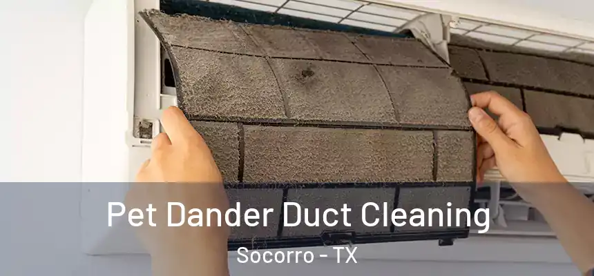 Pet Dander Duct Cleaning Socorro - TX