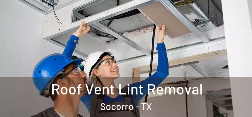 Roof Vent Lint Removal Socorro - TX