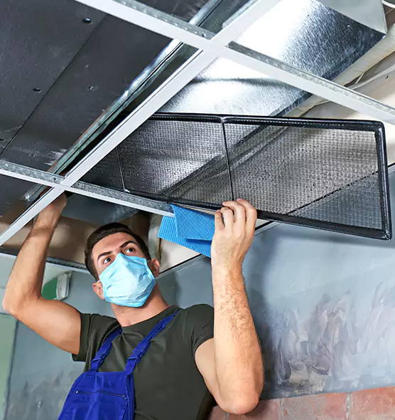 About Air Duct Bacteria Removal in Socorro
