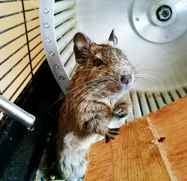 Why Homeowners & Businesses Trust Us Socorro, TX?