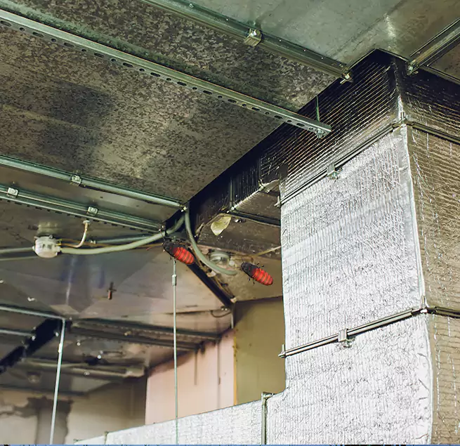 Why Homeowners & Businesses Trust Us Socorro, TX?