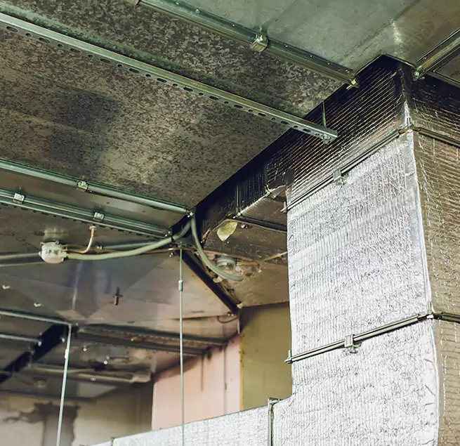 Why Homeowners & Businesses Trust Us in Socorro, TX?