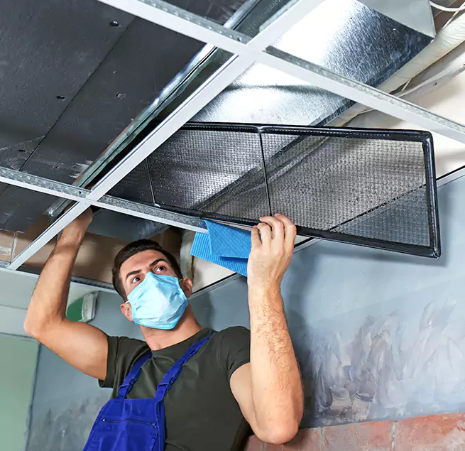 Why Homeowners Businesses Trust Us in Socorro, TX?